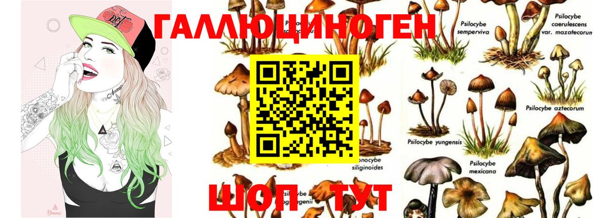 Псилоцибиновые грибы GOLDEN TEACHER Боровичи
