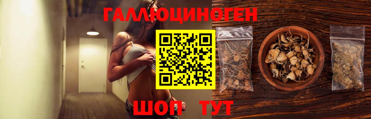 Псилоцибиновые грибы Cubensis  Псилоцибиновые грибы GOLDEN TEACHER  Боровичи  Вход с VPN 